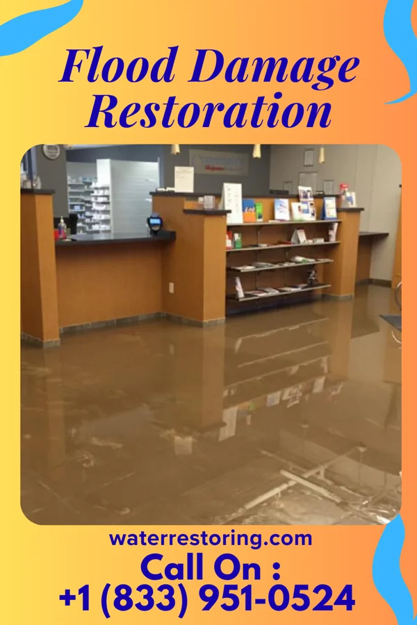 Flood Damage Restoration in Bloomingdale, IN